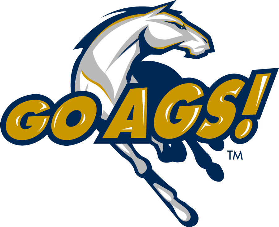 California Davis Aggies 2013-2019 Secondary Logo iron on transfers for T-shirts